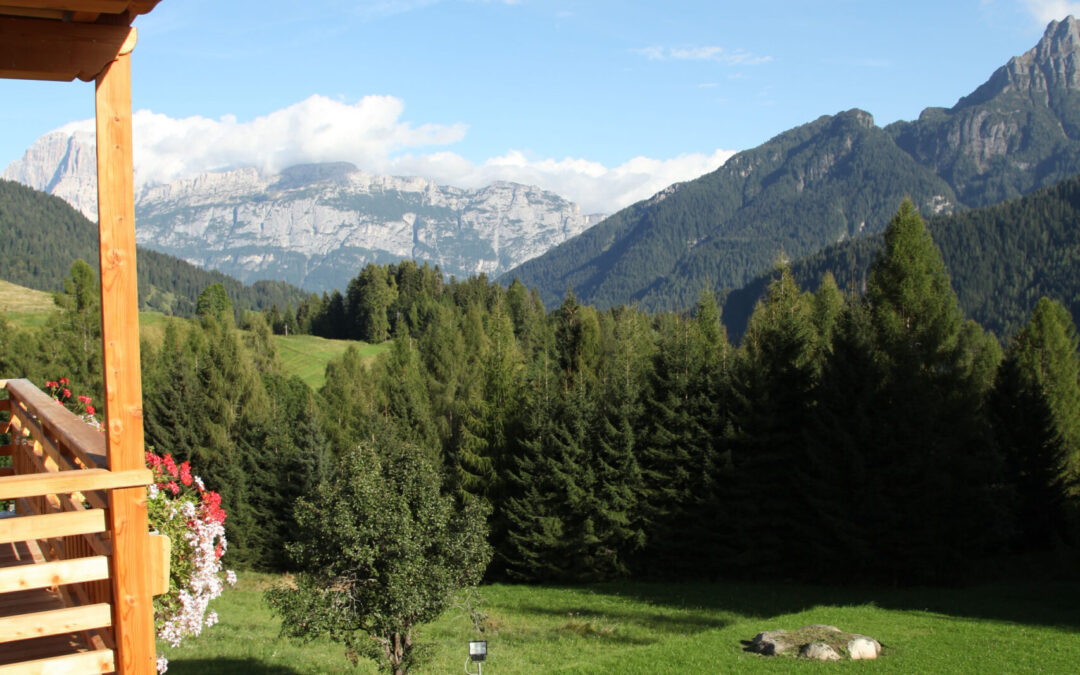 Riscopri il tempo lento della natura tra silenzi e sapori autentici