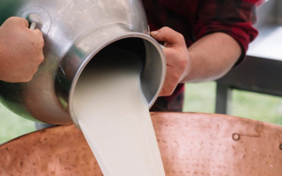 Dal Latte al Vino: Gusto e Tradizione alla Piccola Baita